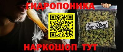 СК Кандалакша