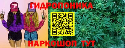 наркотики Камышлов