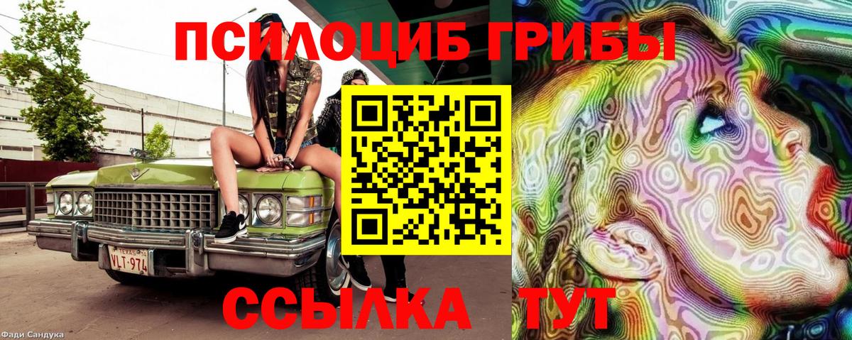 Дальнегорск  Галлюциногенные грибы Psilocybine cubensis  Вход с VPN  Галлюциногенные грибы мицелий 