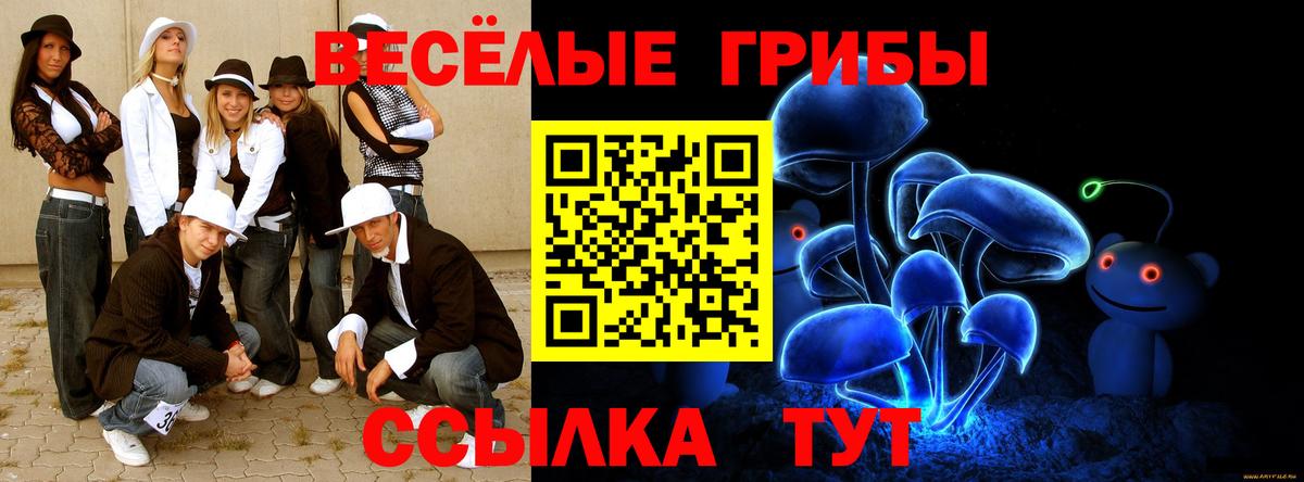 Галлюциногенные грибы ЛСД Дальнегорск